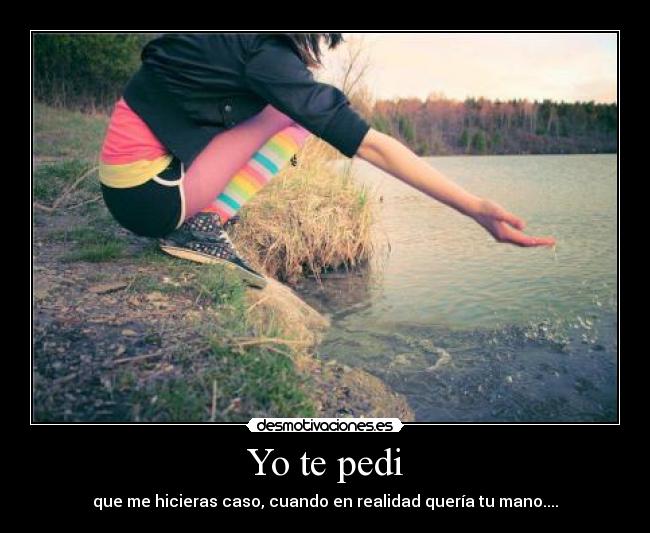 Yo te pedi -