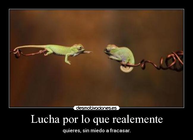 Lucha por lo que realemente - 