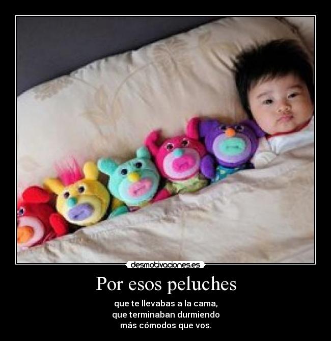 Por esos peluches - que te llevabas a la cama,
que terminaban durmiendo
más cómodos que vos.