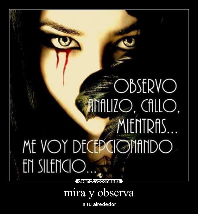 mira y observa - a tu alrededor