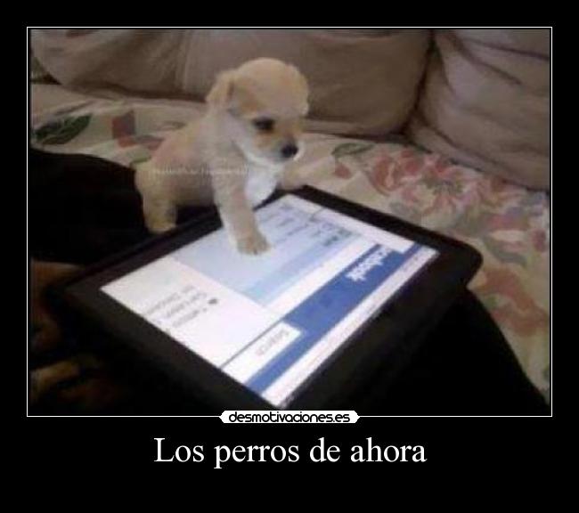 Los perros de ahora - 