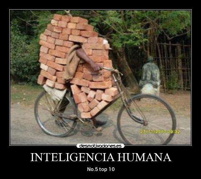 INTELIGENCIA HUMANA - No.5 top 10