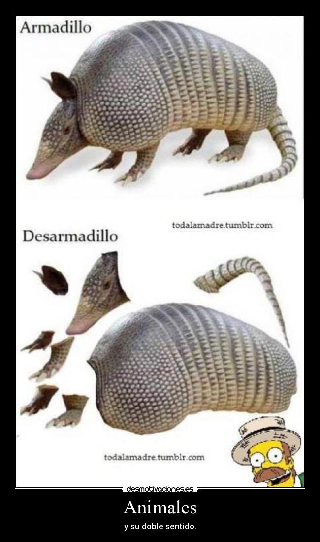 Animales - y su doble sentido.