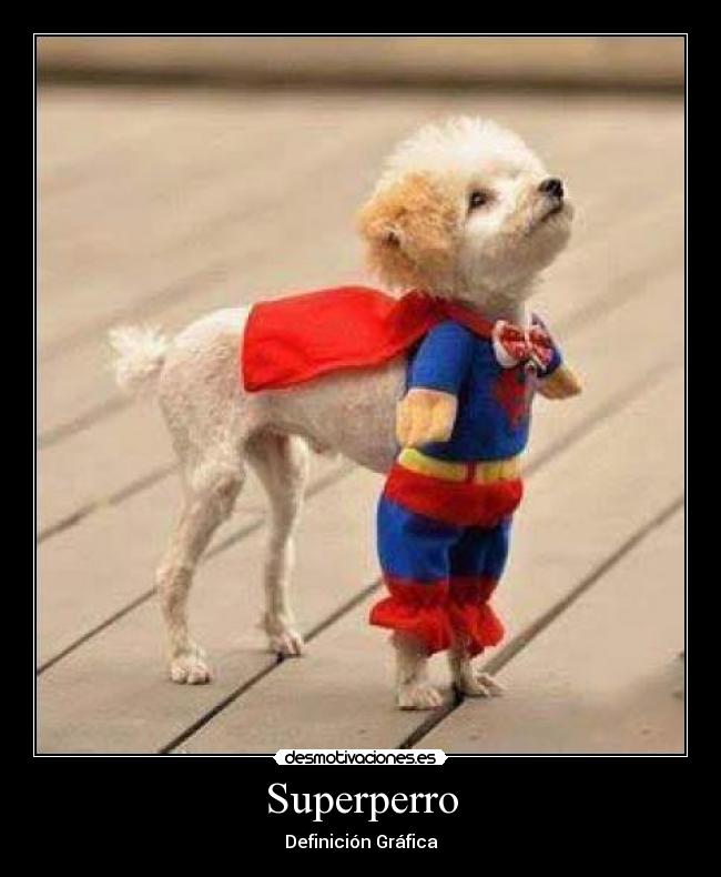 Superperro - Definición Gráfica