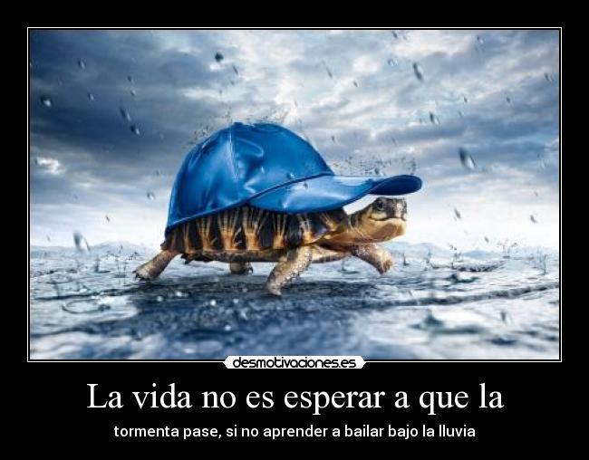 La vida no es esperar a que la - 