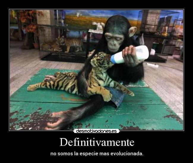 Definitivamente -
