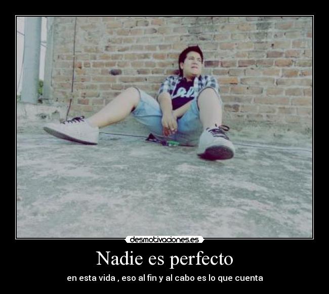 carteles nadie perfecto francito loco ley sopa desmotivaciones