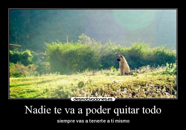 carteles suficiente para rendirme desmotivaciones