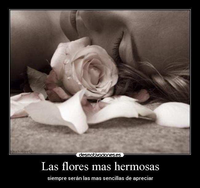 Las flores mas hermosas - siempre serán las mas sencillas de apreciar