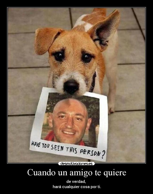 Cuando un amigo te quiere -