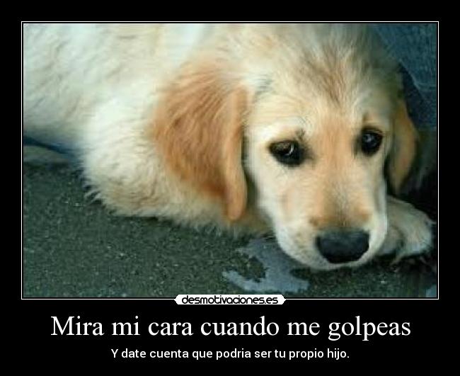 Mira mi cara cuando me golpeas -