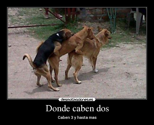 Donde caben dos - Caben 3 y hasta mas