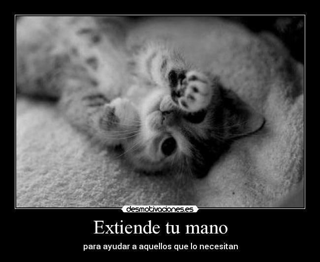 carteles extiende desmotivaciones