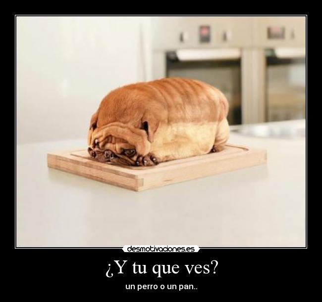 ¿Y tu que ves? -