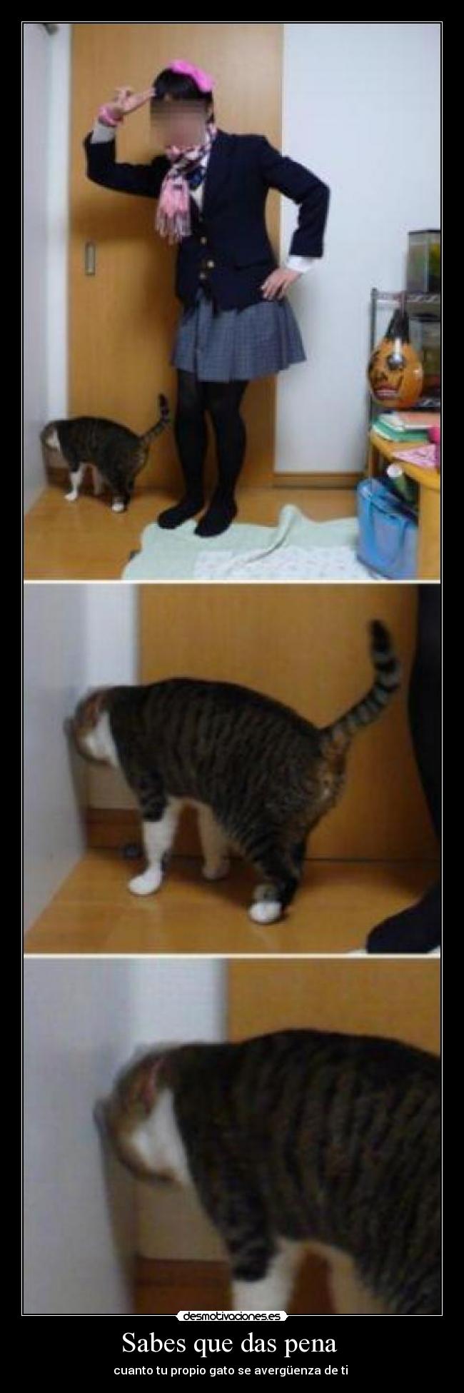 carteles sabes que das pena desmotivaciones