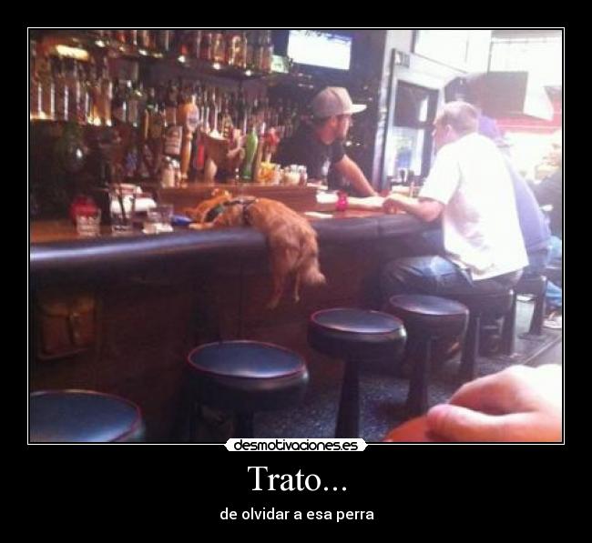 Trato... - de olvidar a esa perra