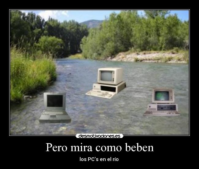 carteles peces rio desmotivaciones