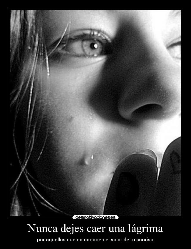 Nunca dejes caer una lágrima - por aquellos que no conocen el valor de tu sonrisa.