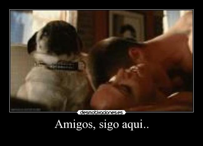 Amigos, sigo aqui.. -