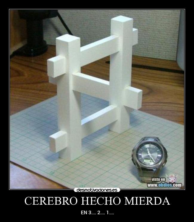 CEREBRO HECHO MIERDA - 