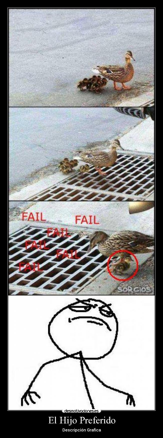 El Hijo Preferido - Descripción Grafica