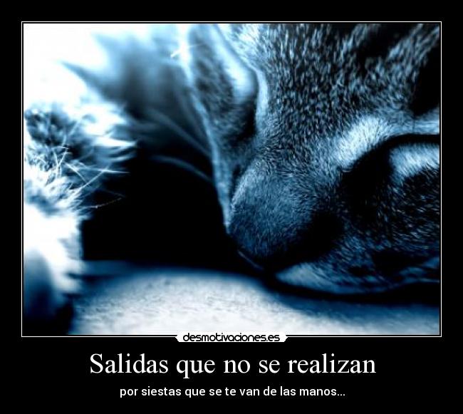 Salidas que no se realizan -