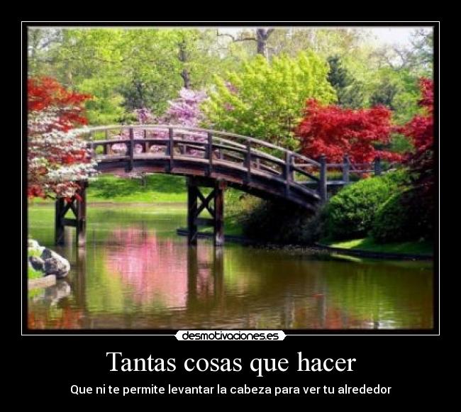 Tantas cosas que hacer - Que ni te permite levantar la cabeza para ver tu alrededor