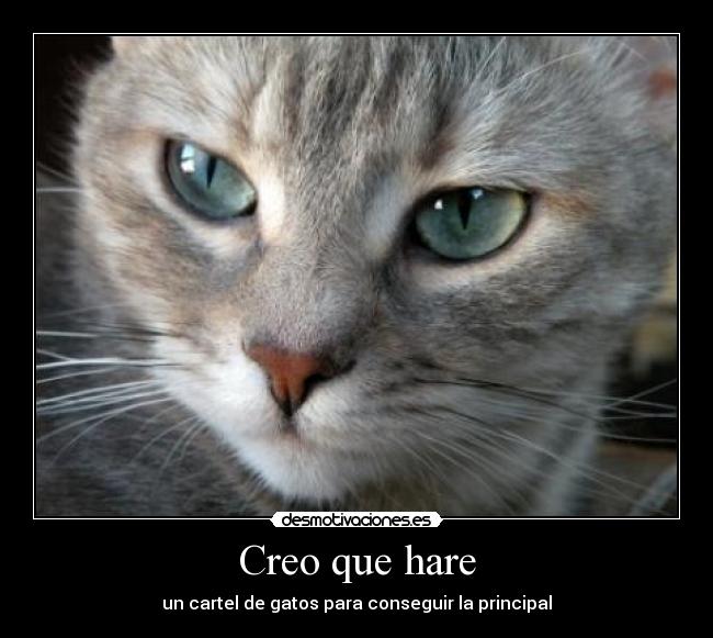 Creo que hare -