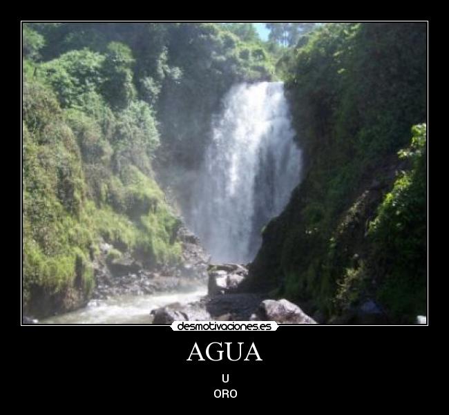 AGUA - U
ORO