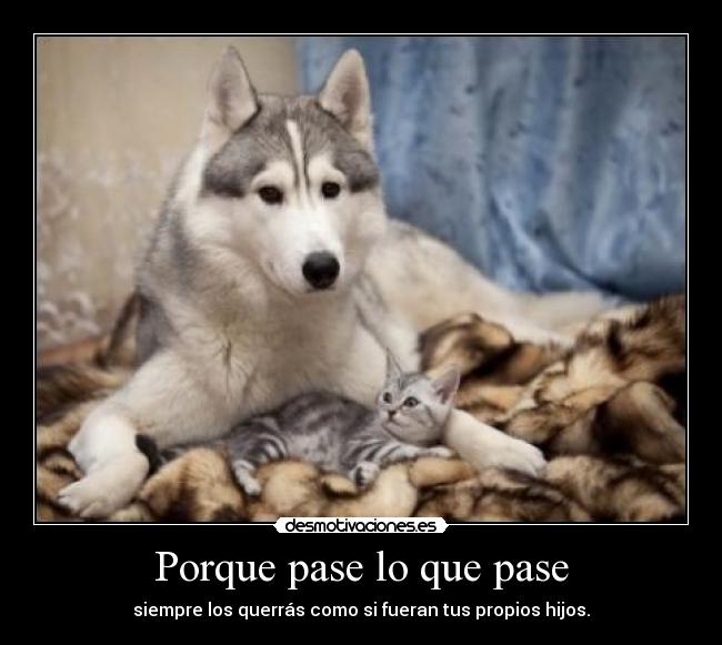 Porque pase lo que pase -