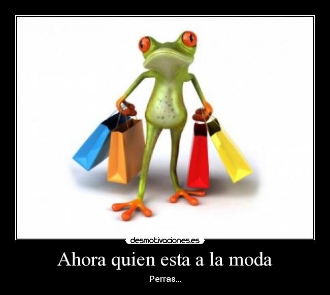 Ahora quien esta a la moda -