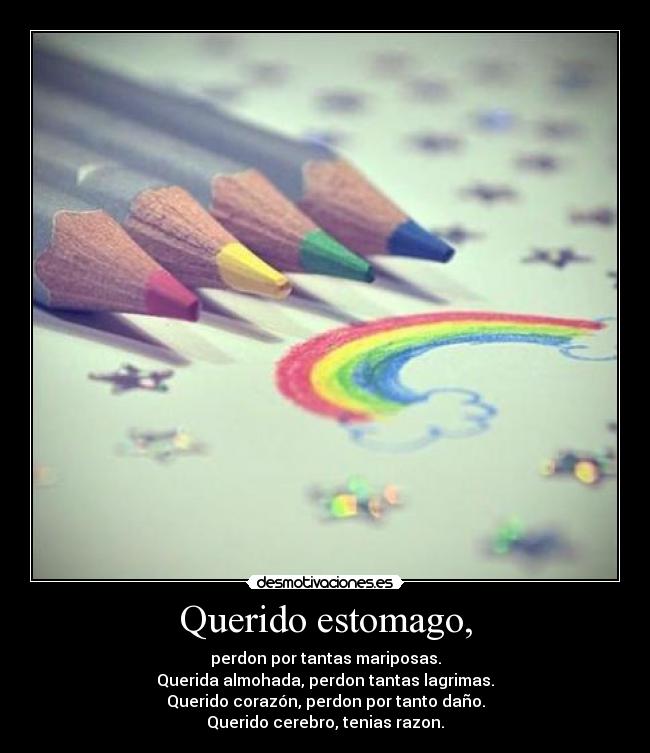 Querido estomago, -