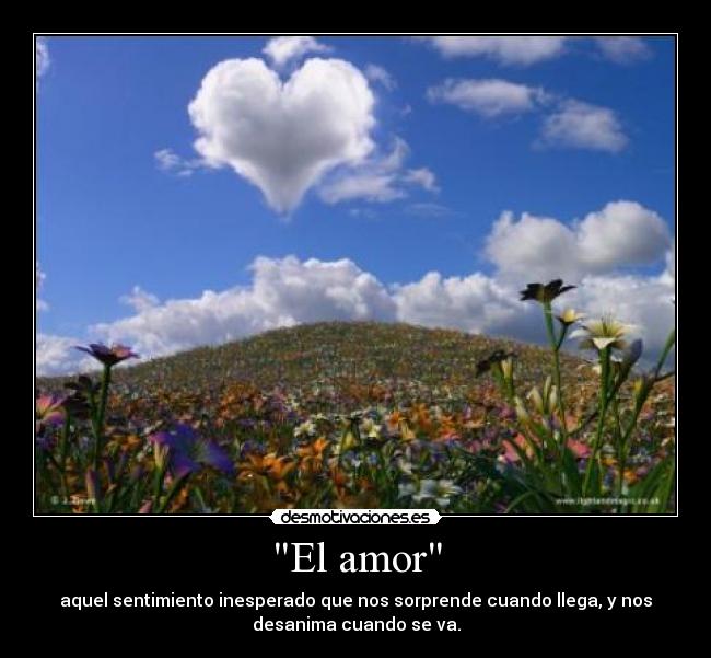 El amor - 