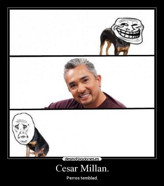 Cesar Millan. - 