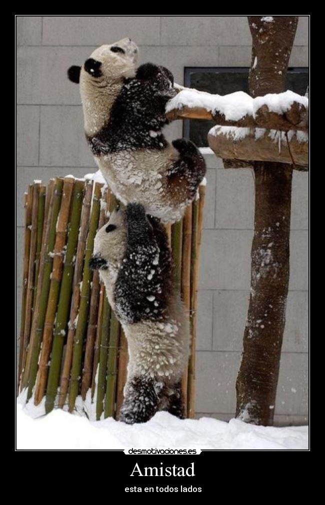 Amistad - esta en todos lados