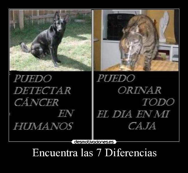 Encuentra las 7 Diferencias -