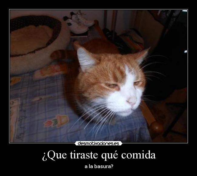 ¿Que tiraste qué comida - a la basura?