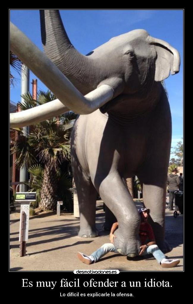 Es muy fácil ofender a un idiota. -