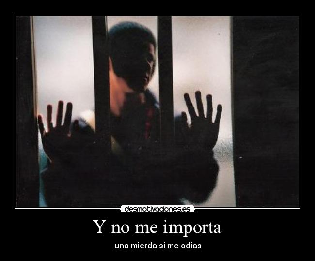 Y no me importa - una mierda si me odias
