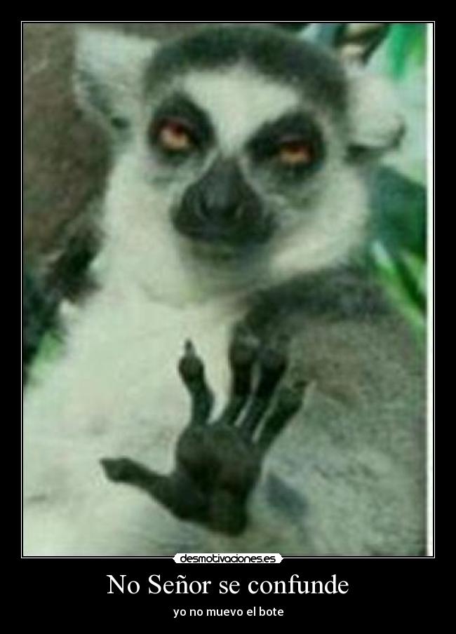 No Señor se confunde -