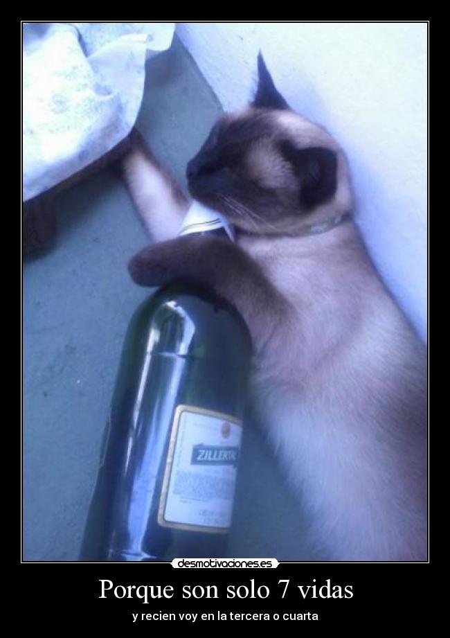 Porque son solo 7 vidas -