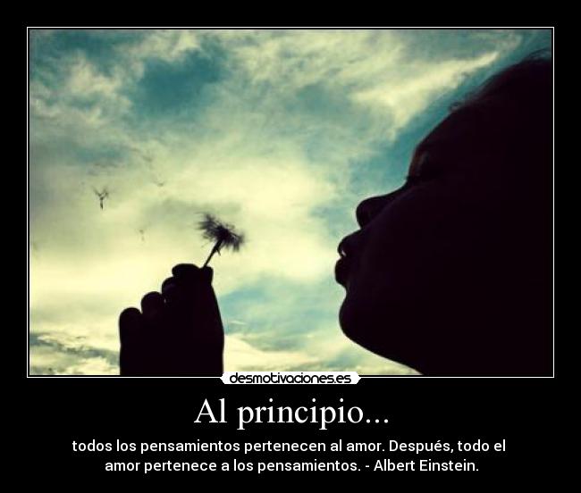 carteles einstein desmotivaciones