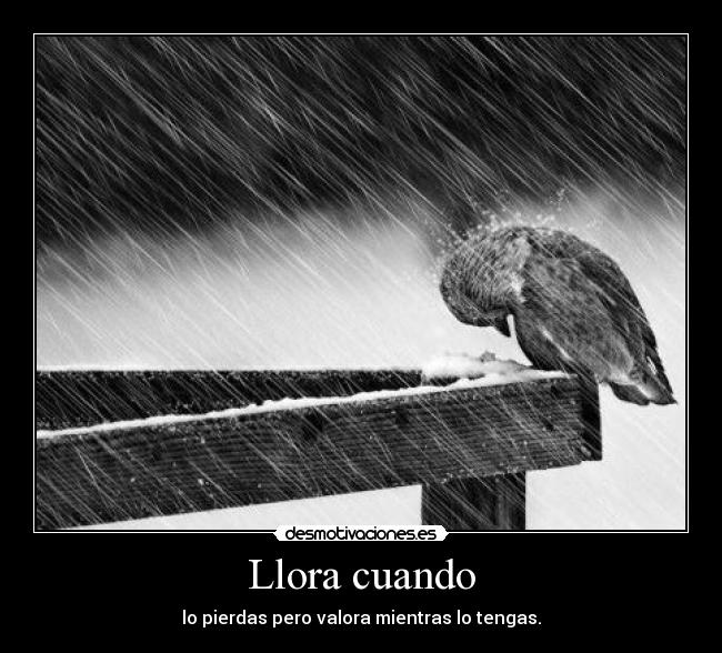 Llora cuando - lo pierdas pero valora mientras lo tengas.