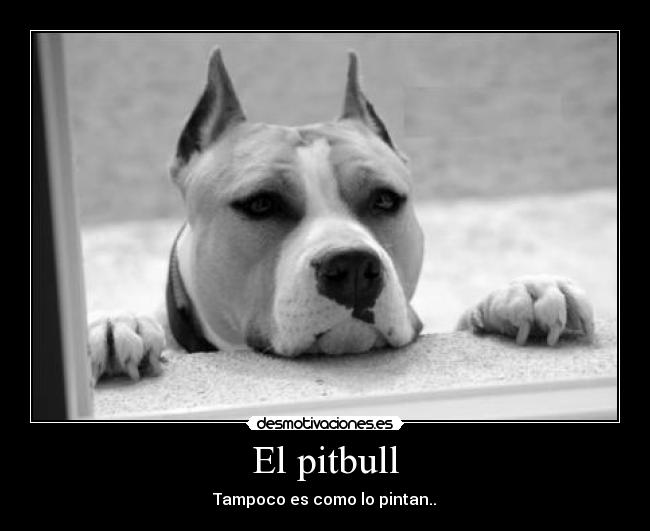 carteles esneiderpit desmotivaciones