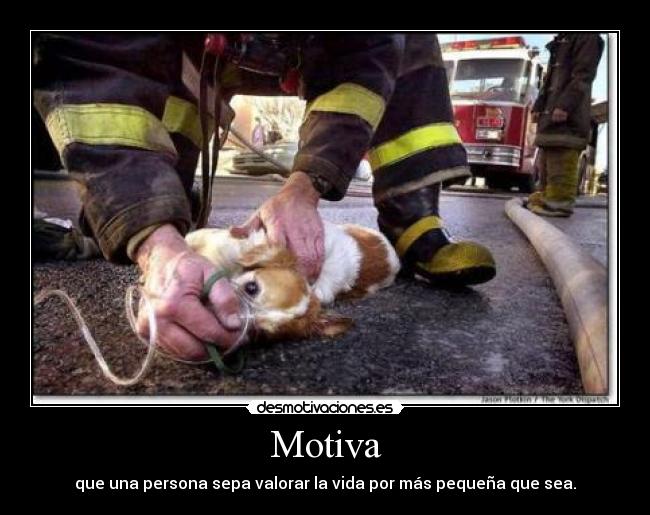 Motiva -