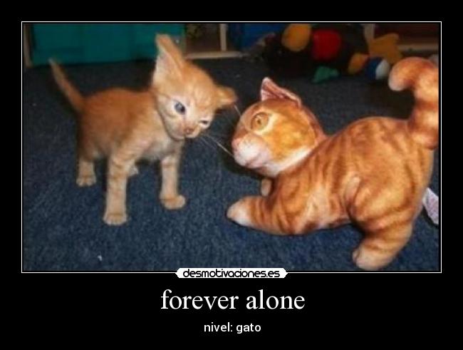 forever alone - 