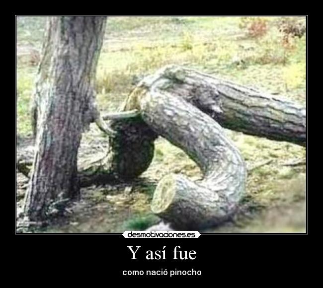 Y así fue - como nació pinocho