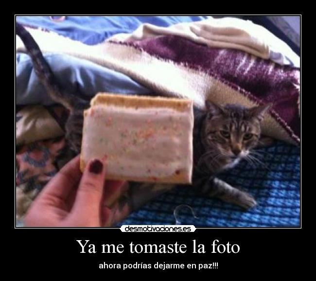 Ya me tomaste la foto - ahora podrías dejarme en paz!!!