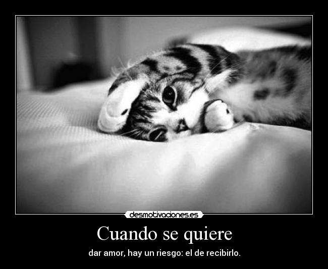 Cuando se quiere - 