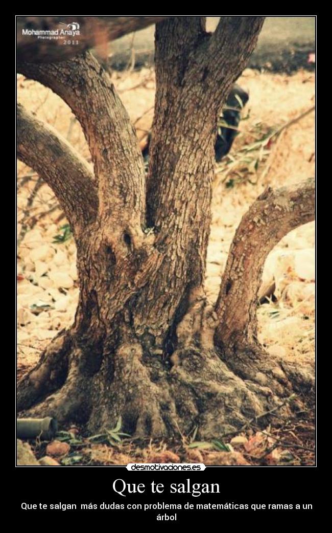 Que te salgan - Que te salgan más dudas con problema de matemáticas que ramas a un árbol